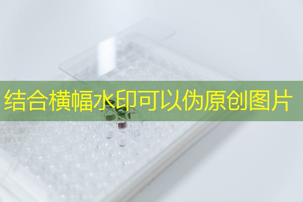 广东第三方检测单位,广东第三方检测单位招聘 广东第三方检测单位,广东第三方检测单位招聘