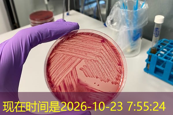 安徽功能面料检测机构,安徽功能面料检测机构有哪些 安徽功能面料检测机构,安徽功能面料检测机构有哪些
