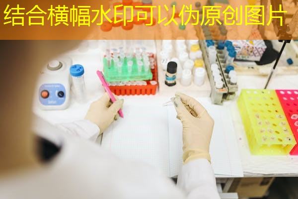 深圳纸尿裤检测，纸尿裤检测报告