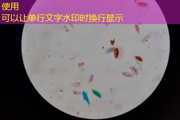 深圳 ce认证,深圳证书认证 深圳 ce认证,深圳证书认证