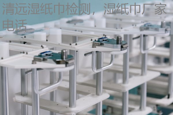 清远湿纸巾检测,湿纸巾厂家电话 清远湿纸巾检测,湿纸巾厂家电话