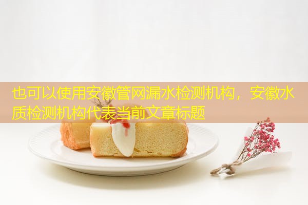 安徽管网漏水检测机构，安徽水质检测机构