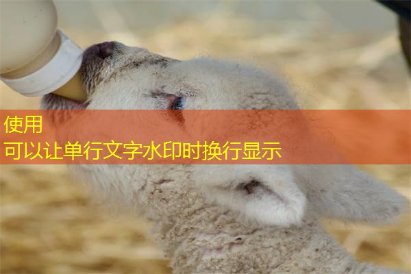 安徽公路检测机构名单,安徽公路试验检测工程师招聘 安徽公路检测机构名单,安徽公路试验检测工程师招聘