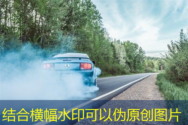 安徽动物蛋白检测机构，安徽宠物用品检测机构