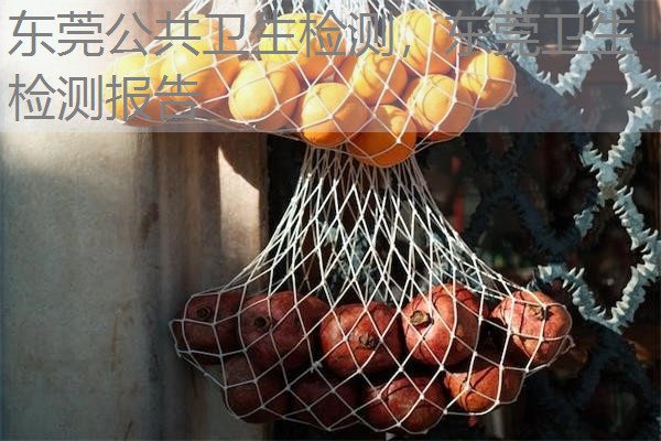 东莞公共卫生检测,东莞卫生检测报告 东莞公共卫生检测,东莞卫生检测报告