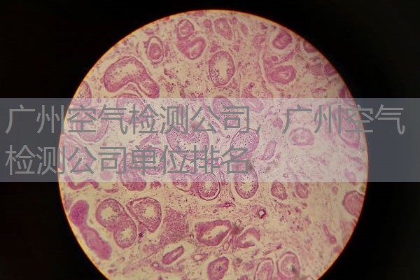 广州空气检测公司，广州空气检测公司单位排名