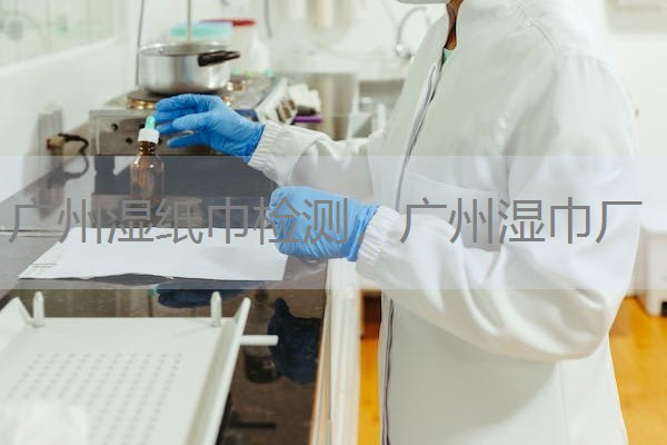 广州湿纸巾检测,广州湿巾厂 广州湿纸巾检测,广州湿巾厂