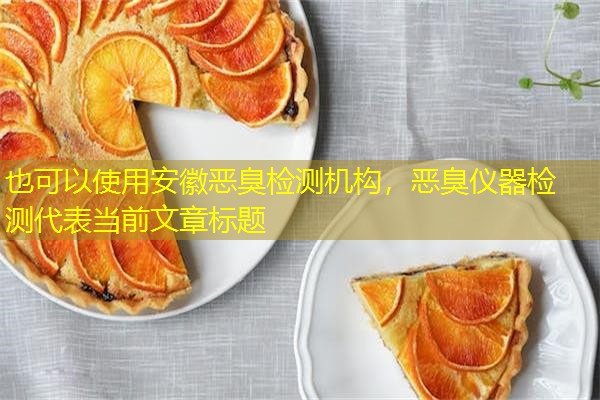 安徽恶臭检测机构,恶臭仪器检测 安徽恶臭检测机构,恶臭仪器检测