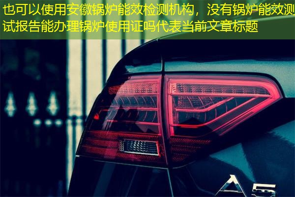 安徽锅炉能效检测机构，没有锅炉能效测试报告能办理锅炉使用证吗