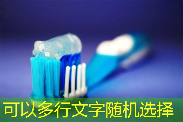 安徽电子玩具检测机构,安徽宠物用品检测机构 安徽电子玩具检测机构,安徽宠物用品检测机构