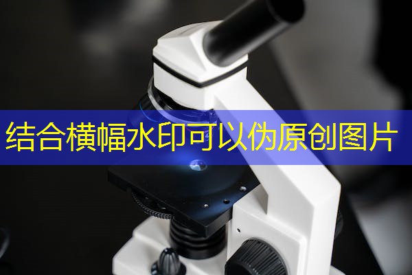 安徽钢结构检测机构,安徽钢结构厂家排名 安徽钢结构检测机构,安徽钢结构厂家排名