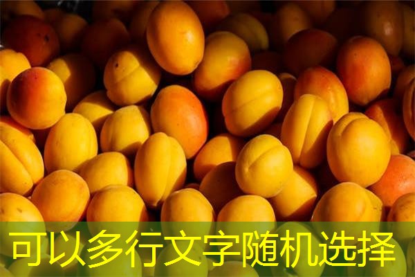 安徽封闭检测机构，安徽管道检测