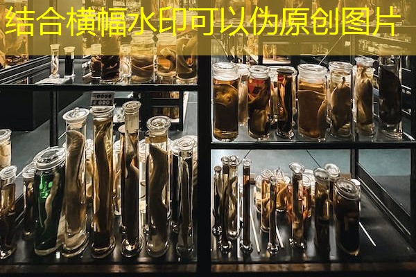 安徽合肥质量检测机构,安徽检测机构名单 安徽合肥质量检测机构,安徽检测机构名单
