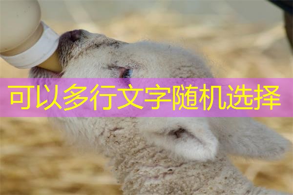 安徽贵金属检测机构,安徽贵金属检测机构排名 安徽贵金属检测机构,安徽贵金属检测机构排名