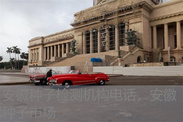安徽种子检测机构电话，安徽种子市场