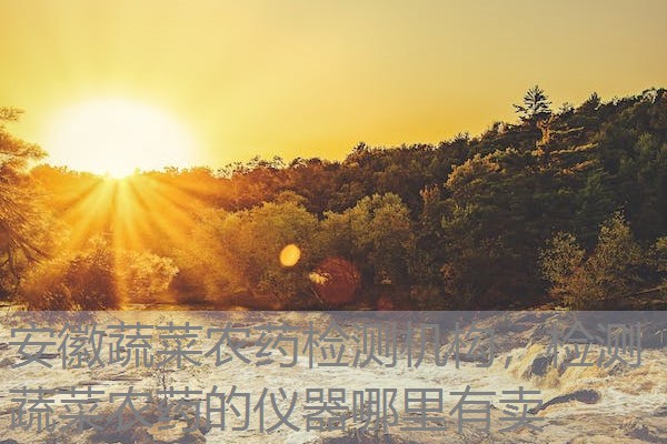 安徽蔬菜农药检测机构,检测蔬菜农药的仪器哪里有卖 安徽蔬菜农药检测机构,检测蔬菜农药的仪器哪里有卖