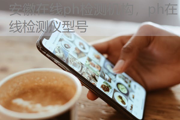 安徽在线ph检测机构，ph在线检测仪型号