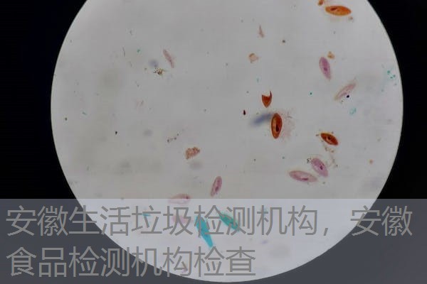 安徽生活垃圾检测机构，安徽食品检测机构检查