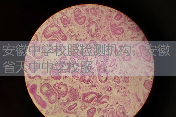 安徽中学校服检测机构，安徽省天中中学校服