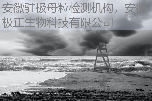 安徽驻极母粒检测机构,安徽极正生物科技有限公司 安徽驻极母粒检测机构,安徽极正生物科技有限公司