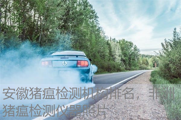 安徽猪瘟检测机构排名，非洲猪瘟检测仪器照片