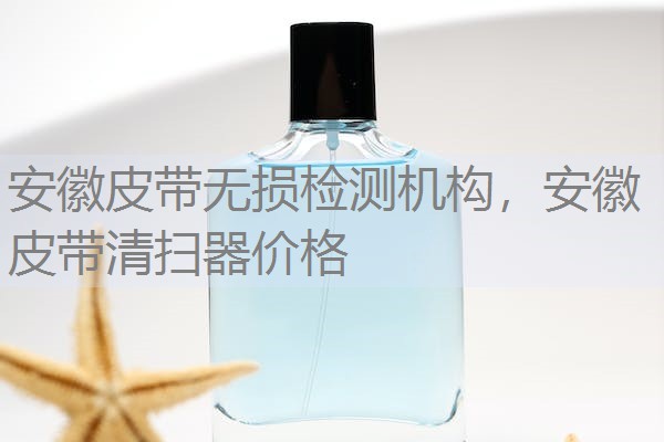 安徽皮带无损检测机构，安徽皮带清扫器价格