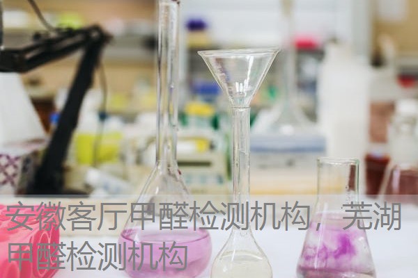 安徽客厅甲醛检测机构,芜湖甲醛检测机构 安徽客厅甲醛检测机构,芜湖甲醛检测机构