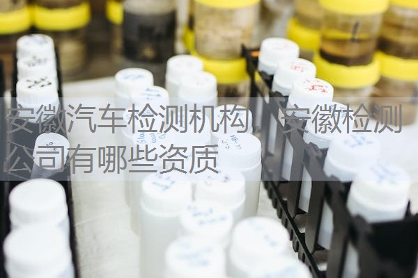 安徽汽车检测机构，安徽检测公司有哪些资质