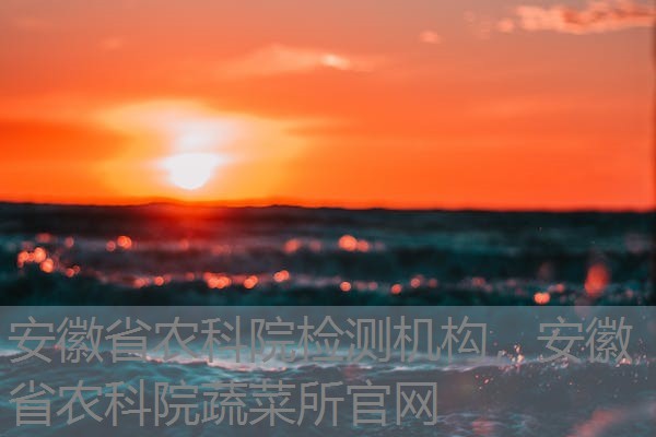 安徽省农科院检测机构,安徽省农科院蔬菜所官网 安徽省农科院检测机构,安徽省农科院蔬菜所官网
