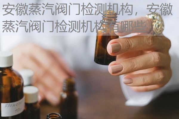 安徽蒸汽阀门检测机构,安徽蒸汽阀门检测机构有哪些 安徽蒸汽阀门检测机构,安徽蒸汽阀门检测机构有哪些