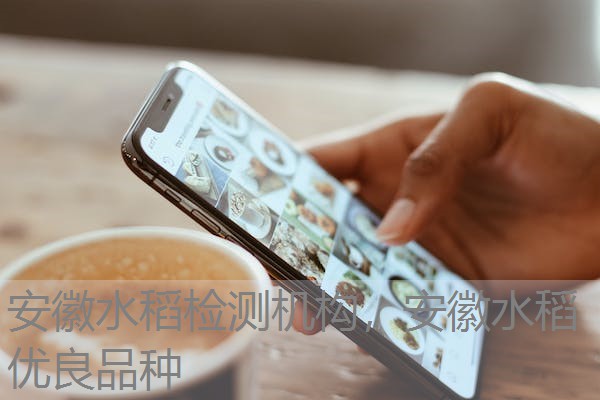 安徽水稻检测机构，安徽水稻优良品种