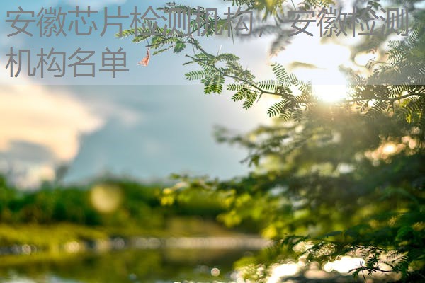 安徽芯片检测机构,安徽检测机构名单 安徽芯片检测机构,安徽检测机构名单