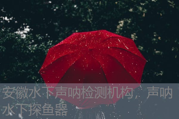 安徽水下声呐检测机构,声呐水下探鱼器 安徽水下声呐检测机构,声呐水下探鱼器