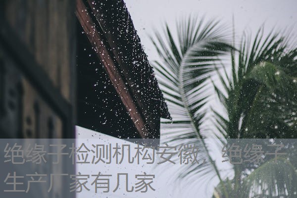 绝缘子检测机构安徽，绝缘子生产厂家有几家