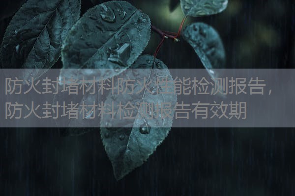 防火封堵材料防火性能检测报告，防火封堵材料检测报告有效期