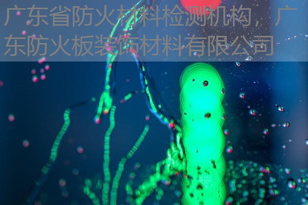 广东省防火材料检测机构，广东防火板装饰材料有限公司