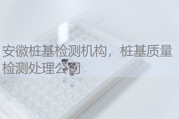 安徽桩基检测机构,桩基质量检测处理公司 安徽桩基检测机构,桩基质量检测处理公司