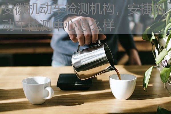 安徽机动车检测机构，安捷机动车检测中心怎么样