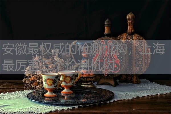安徽最权威的检测机构，上海最厉害三个检测机构