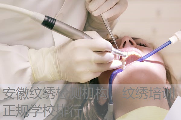 安徽纹绣检测机构，纹绣培训正规学校排行