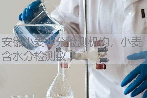 安徽小麦水分检测机构，小麦含水分检测仪