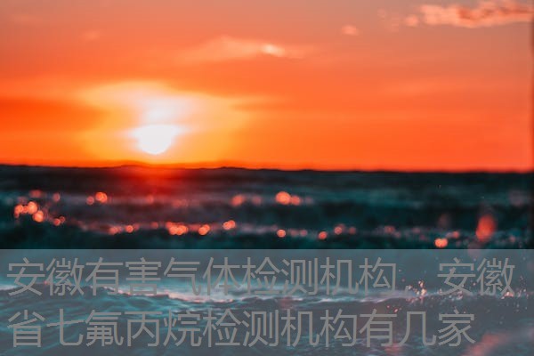 安徽有害气体检测机构，安徽省七氟丙烷检测机构有几家