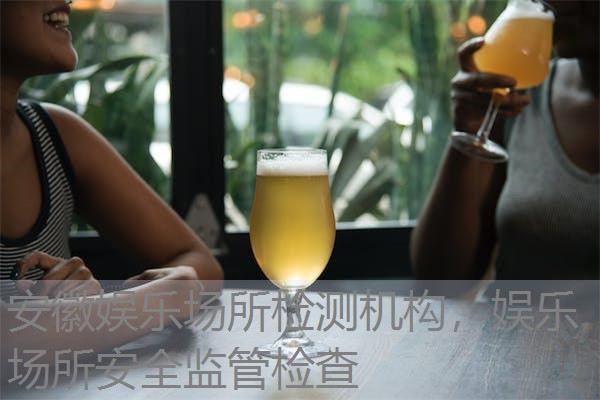 安徽娱乐场所检测机构，娱乐场所安全监管检查
