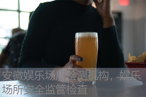 安徽娱乐场所检测机构,娱乐场所安全监管检查 安徽娱乐场所检测机构,娱乐场所安全监管检查