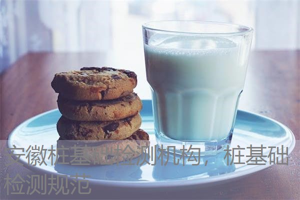 安徽桩基础检测机构，桩基础检测规范