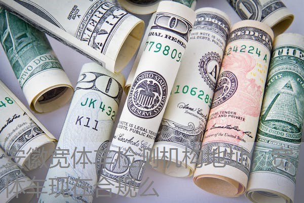 安徽宽体车检测机构地址，宽体车现在合规么