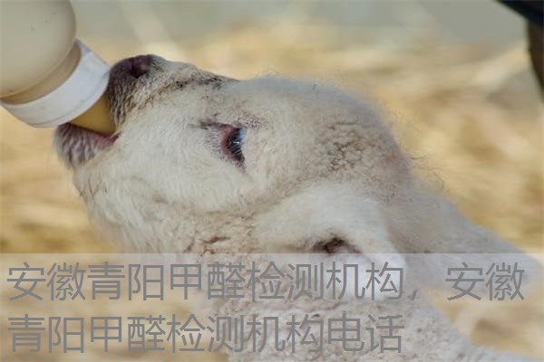 安徽青阳甲醛检测机构,安徽青阳甲醛检测机构电话 安徽青阳甲醛检测机构,安徽青阳甲醛检测机构电话