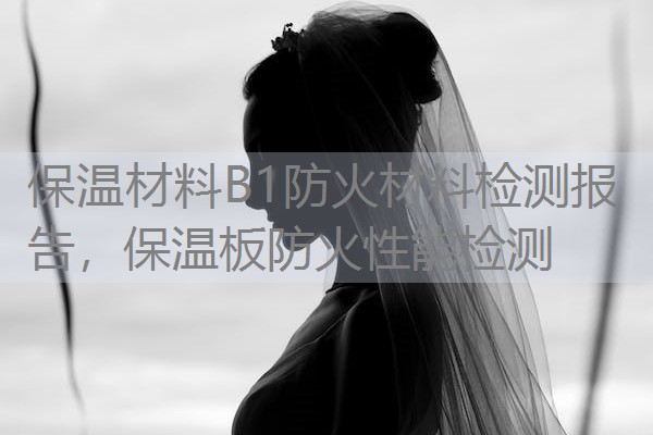 保温材料B1防火材料检测报告，保温板防火性能检测