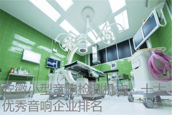 安徽小型音响检测机构，十大优秀音响企业排名
