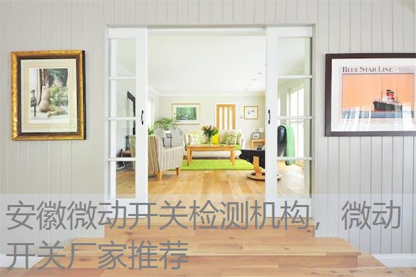 安徽微动开关检测机构,微动开关厂家推荐 安徽微动开关检测机构,微动开关厂家推荐